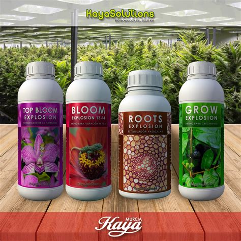 kaya murcia|KayaMurcia.es Grow Shop Online (@kaya.murcia).